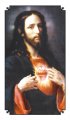 Sacred Heart of Jesus Holy Card - Pack of 10