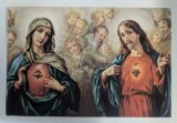 Sacred and Immaculate Heart Postcard